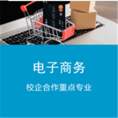 文科有电子商务专业吗