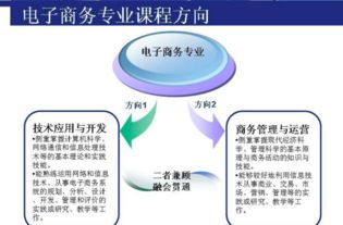 电子商务能考的编制专业