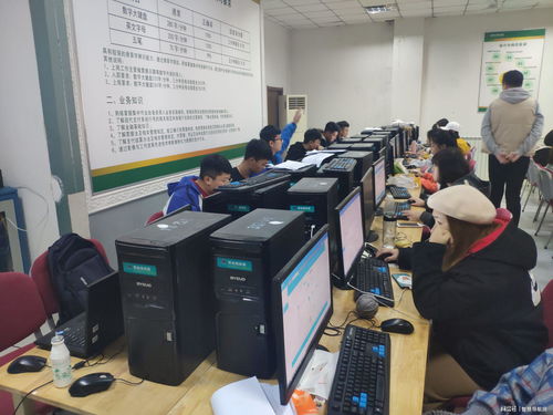 电子商务专业本科生就业