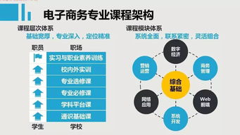电子商务专业课程包括哪些